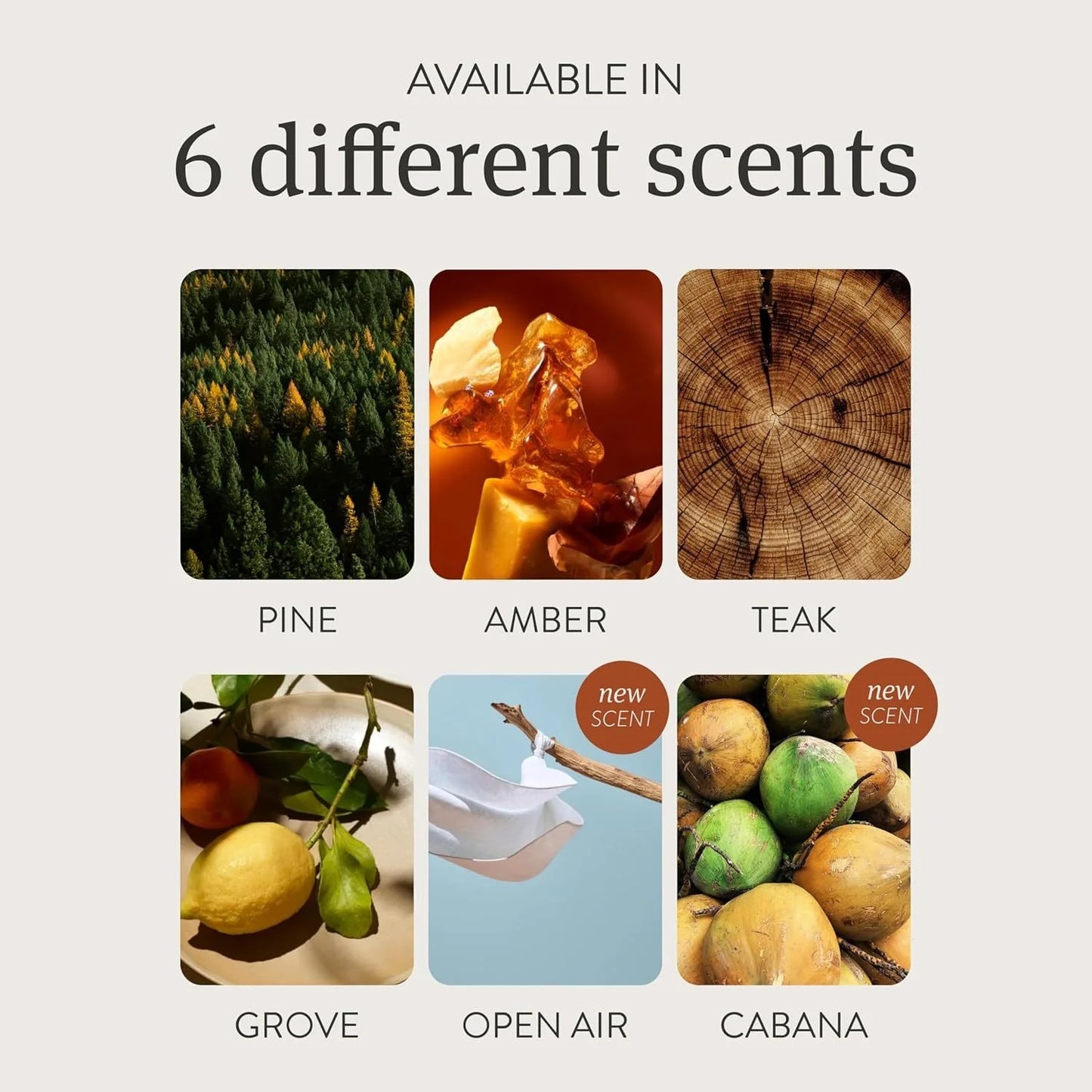 Car Air Freshener Wooden Deodorizer-Vehicle Odor Remover Auto Scent Diffuser  Long-Lasting Car Freshening Amber Scent Refill