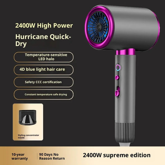 High-Speed Hair Dryer 2400W High-Speed Styling Dryer with Concentrator Diffuser Attachments for Home Use Hair Styling