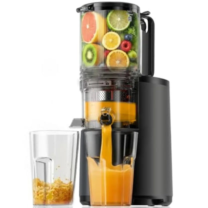 Cold Press Juicer for Whole Vegetables Fruits, Black Slow Masticating Juicer with 5.4 Feed Chute, 250W, 99.6 Juice Yield, Rever