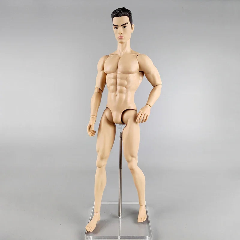 High Quality Adonis 1/6 Jointed DIY Movable Nude Naked Doll Body 12" Muscle FR Boy Doll BJD Dolls Kids Toys Gifts