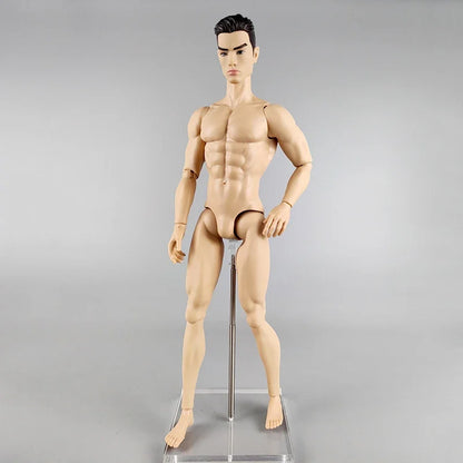 High Quality Adonis 1/6 Jointed DIY Movable Nude Naked Doll Body 12" Muscle FR Boy Doll BJD Dolls Kids Toys Gifts