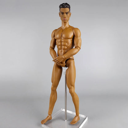 High Quality Adonis 1/6 Jointed DIY Movable Nude Naked Doll Body 12" Muscle FR Boy Doll BJD Dolls Kids Toys Gifts