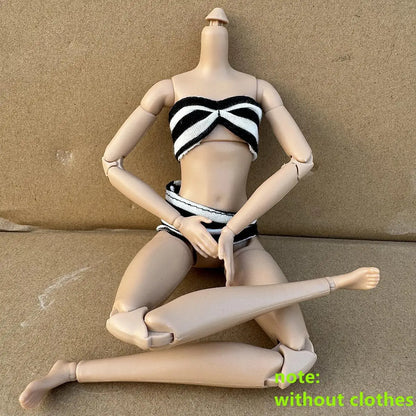 1/6 Scale Multi-jointed Fashion Doll Heads with Bangs Pony Tail Super White Beige Dark Brown Skin Tone PP Doll Figures for Colle