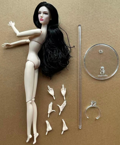 1/6 Female Super Model DC Doll Head Body Figure With Good Makeup Heads With 2 Pairs Hands 1 Feet and Clear Doll Stands