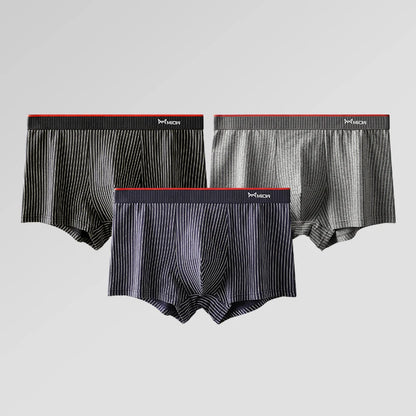 MiiOW 3/4Pcs Striped Panties Boxershorts Men Underwear Organic Cotton Boxer Shorts Antibacterial Seamless Underpants PLUS 5XL