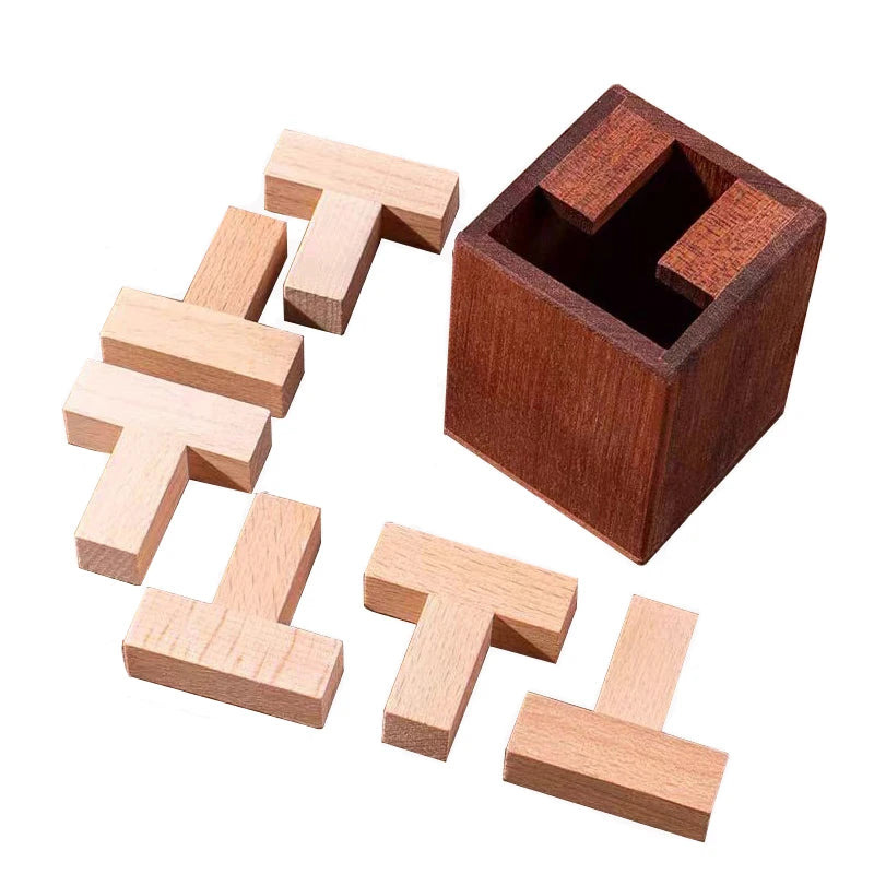 Boutique IQ Puzzle Brain Fitness Games Teaser Puzzles for Adults and Kid Mind Educationl Toys Surprise Gifts Creative Idea