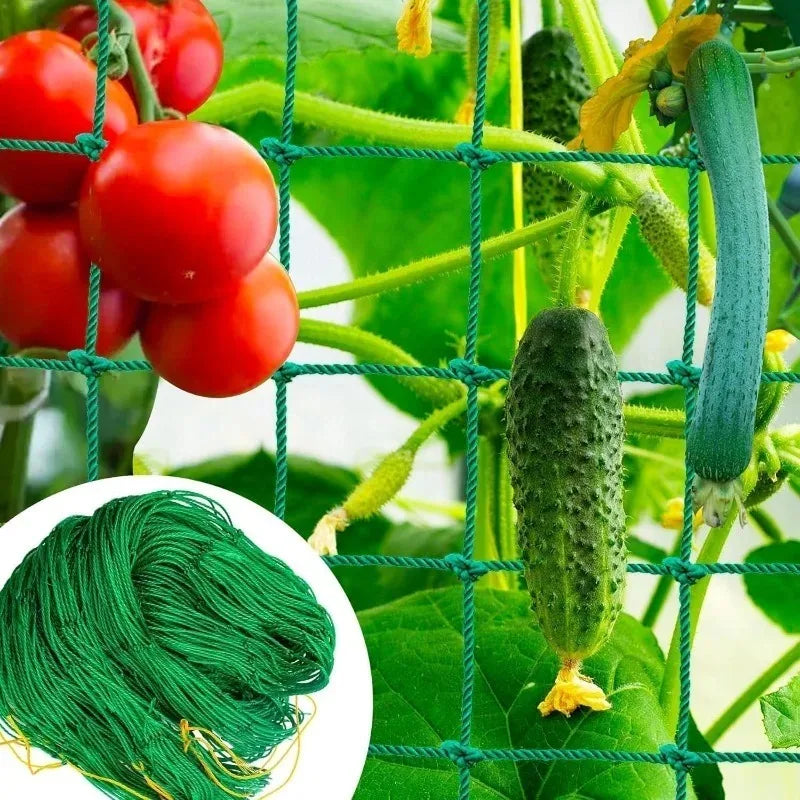 5/1PCS Garden Plant Climbing Net Plant Trellis for Tomato Fruit Vegetables Grapes Cucumber Net Morning Glory Flower Vine Netting