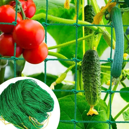 5/1PCS Garden Plant Climbing Net Plant Trellis for Tomato Fruit Vegetables Grapes Cucumber Net Morning Glory Flower Vine Netting