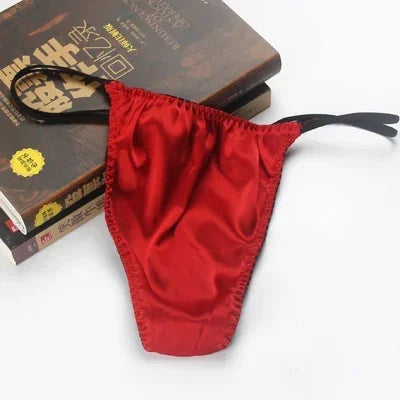 2pcs/lot Real silk low-waist men underwear personality trend men thong silk stretch briefs sexy double T pants