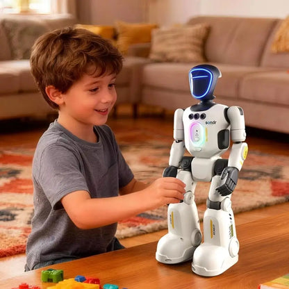 Gesture Sensing RC Robot Programming Function Dancing Function Intelligent Robot 2.4G Remote Control Breathing Light