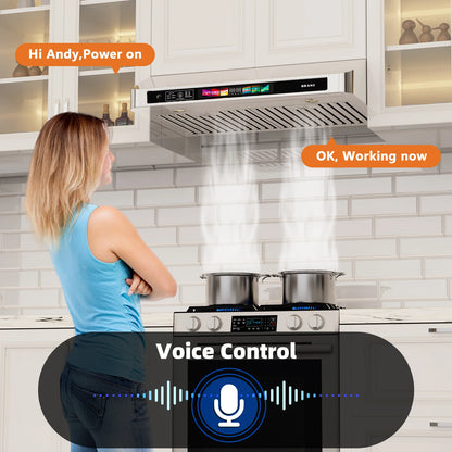 30/36 Inch Under Cabinet Range Hood with Voice/Gesture/Touch Control, 900 CFM Kitchen Vent Hood with 4-Speed Exhaust Fan