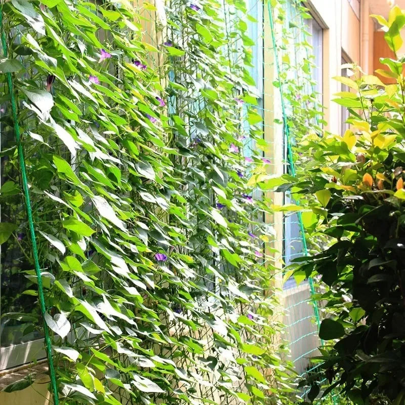 5/1PCS Garden Plant Climbing Net Plant Trellis for Tomato Fruit Vegetables Grapes Cucumber Net Morning Glory Flower Vine Netting