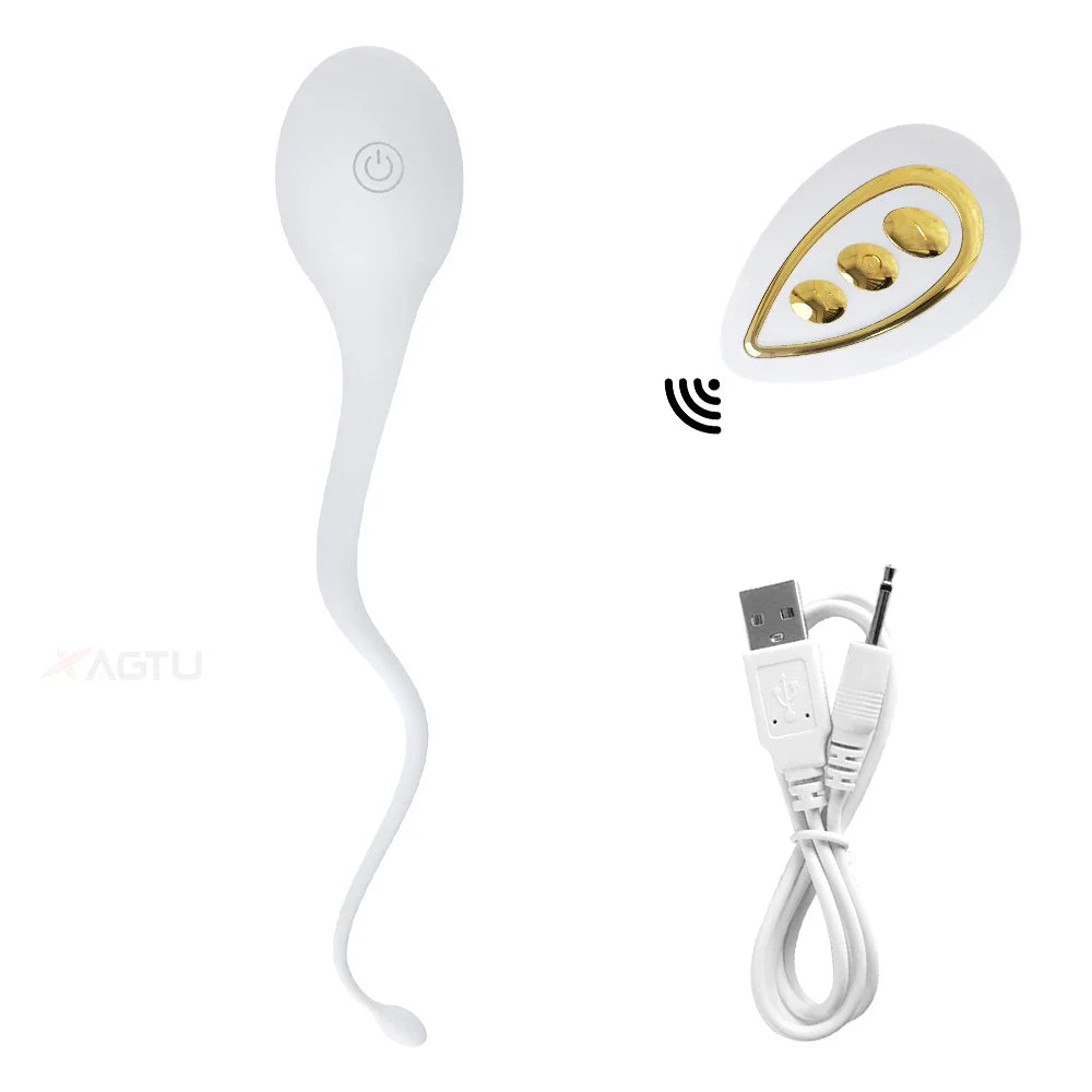 Women Vibrating Egg Vagina Vibrator Remote Control Wearable Panties Vibrator Female Masturbation Interaction Sex Toy for Couples