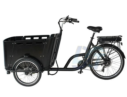 250 Watt 3 Wheel Electric Cargo Bike Mid Motor Electric Tricycles 3 Wheel electric cargo bike for Family