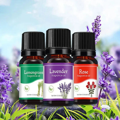Car Air Freshener Essential Oils for Aroma Diffuser Air Humidifier Water-soluble 10ml Air Freshener Scents Fragrance Oil Perfume