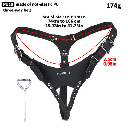 Devil's Heart Chastity Cage 2026 New Sissycage Male CB Lock Bondage Cock Cage Pussy Worship Device Wearable BDSM Toy For Men Gay