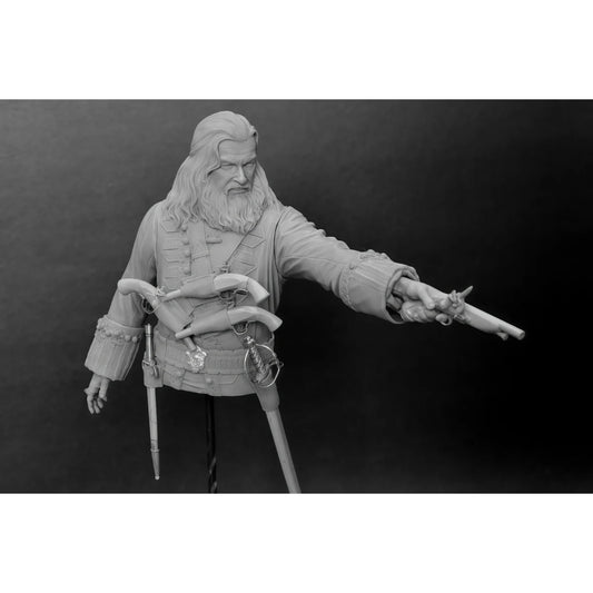 1/10 scale resin unpainted model kit, bust, military theme, unassembled and unpainted GK