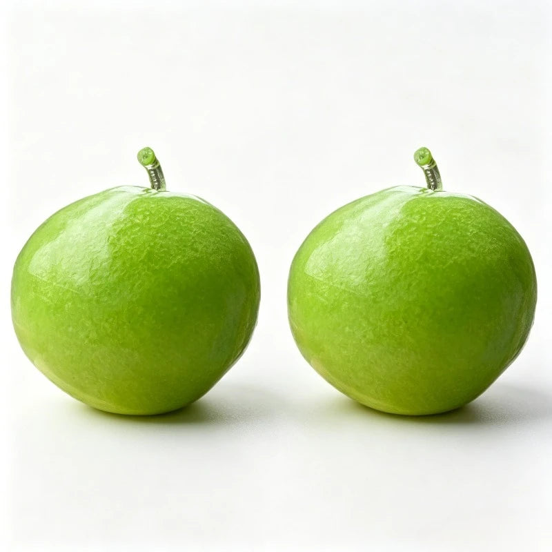 Green Apple Slushie Stress Ball Squishy Toy Crunchy Moldable Non-Bounce Sensory Fidget Toy Medium Grip Strength Training Gift