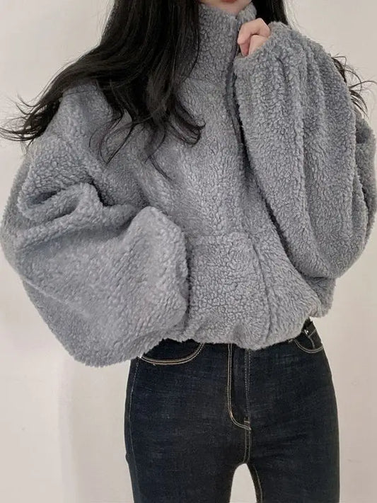 Korean Style Short Zipper Hoodie Women's Loose Fit Lamb Fur Vest Autumn Winter Streetwear Casual Long Sleeve Stand Collar Coat