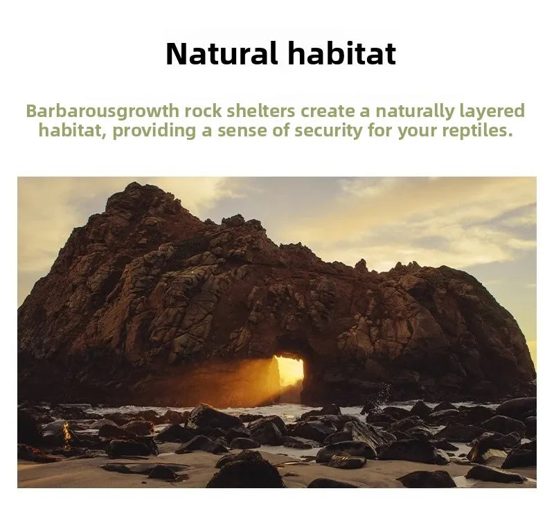 Reptile Shop Simulation Rock Cave Design Pet Lizard Gecko Spider Hideout House Climbing Frog Snake Cave Durable Plastic Pet S...