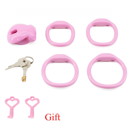 Male Chastity Cage with 4 Size Rings Positive/Negative Chastity Device Sissy Cb Lock Penis Bondage SM Chastity Lock Sex Toys Men