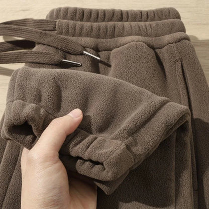 Double-Sided Fleece Lined Loose Men's Pants Warm Comfortable Bulk Cargo Trousers Youth Fashion Winter Wear Chinese Brand
