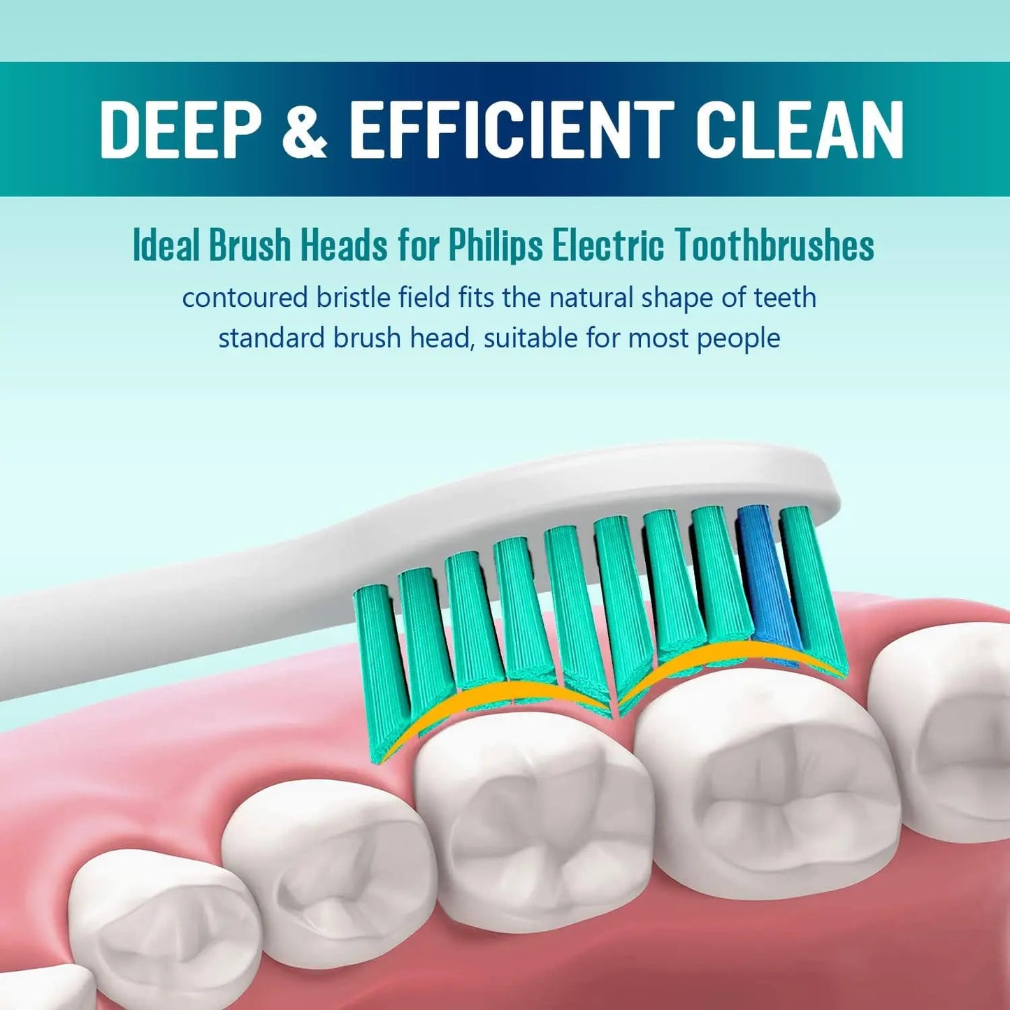 4-36 Pcs Replacement Toothbrush Heads Compatible with Philips Electric Brush Head 1100 2100 4100 4300 5100 5300 6100 6500 etc