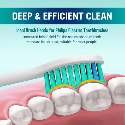 4-36 Pcs Replacement Toothbrush Heads Compatible with Philips Electric Brush Head 1100 2100 4100 4300 5100 5300 6100 6500 etc