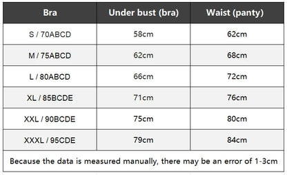 Women mesh sheer bra underwear set transparent unlined bra 2 panties plus size lingerie set for ladies