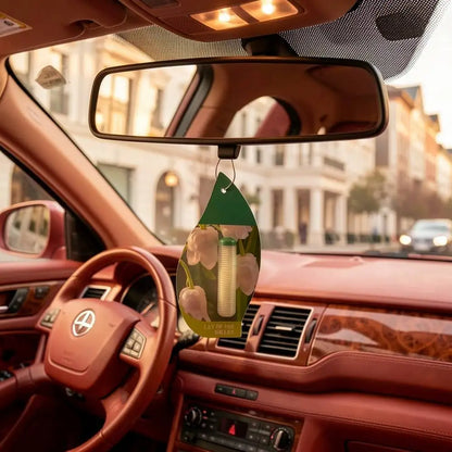 Multi Scent Car Fragrance Pack with Various Aromas to Refresh Your Car Interior All Day Long