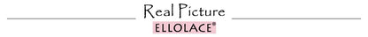 Ellolace Solid Lingeries Sexy Hot Elegant Bra Belt Thong 3PC with Leg Circles Cute Intimate Seductive Lace Tempted Underwear