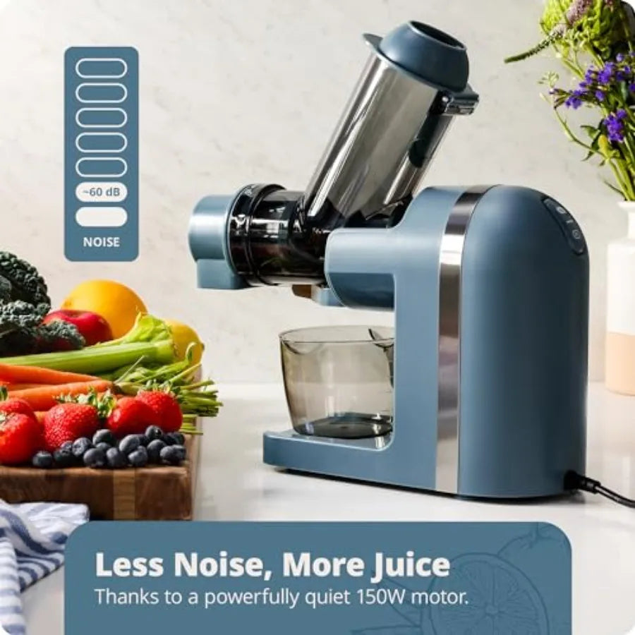 Cold Press Juicer for fruits and vegetables, stone blue slow masticating extractor with quiet motor, high juice yield, easy to