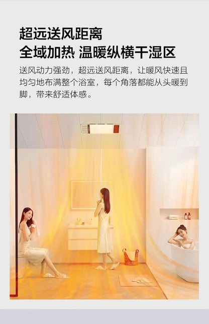 Bathroom Heaters & Space Heaters: With Lighting Air Heating Bath Lights Heating and Bathroom Exhaust Fans in Integrated Ceiling