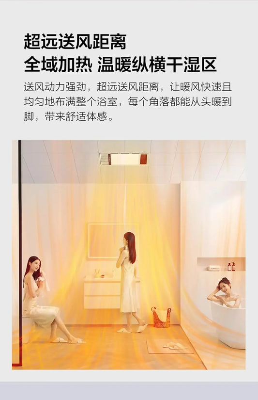 Bathroom Heaters & Space Heaters: With Lighting Air Heating Bath Lights Heating and Bathroom Exhaust Fans in Integrated Ceiling