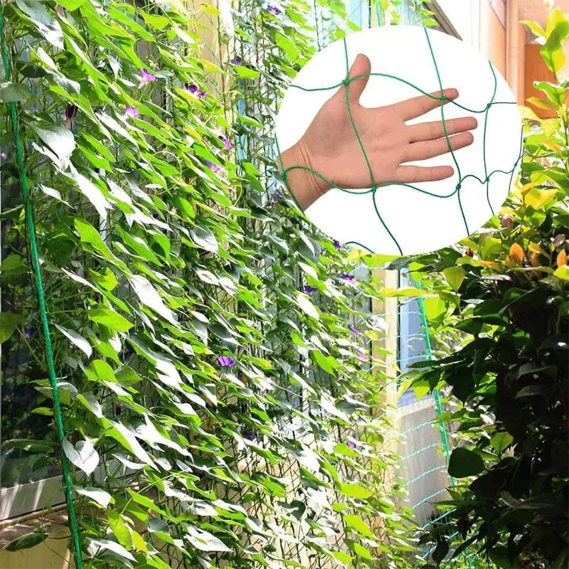 5/1PCS Garden Plant Climbing Net Plant Trellis for Tomato Fruit Vegetables Grapes Cucumber Net Morning Glory Flower Vine Netting