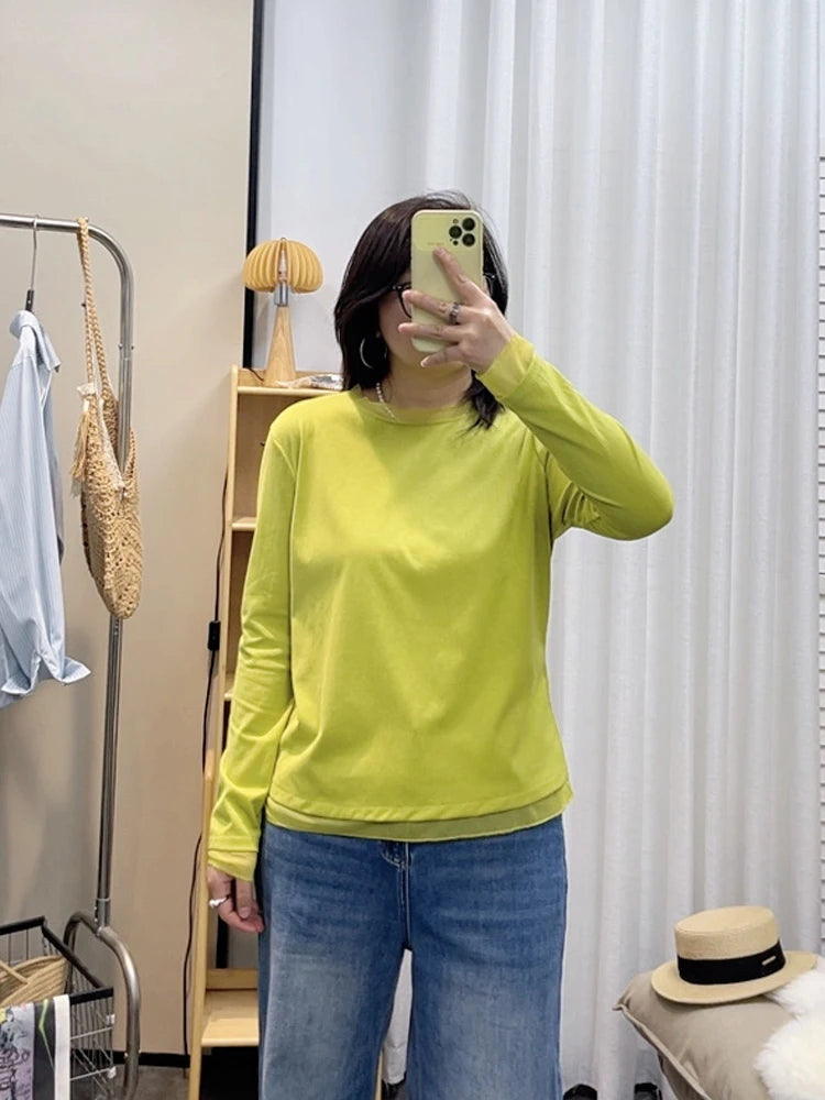 Spring New plus Size round Neck Mesh Splice Loose Long Sleeve Base Shirt Women Fat MM Slimming Belly Cover Simple T-shirt