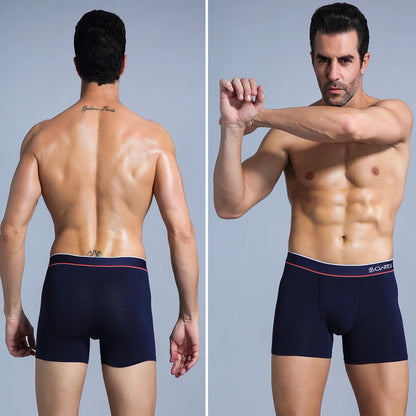 4Pcs Mens Underpants Sexy Boxers Underwear Man Cotton Men's Panties Brand Male Boxer Shorts