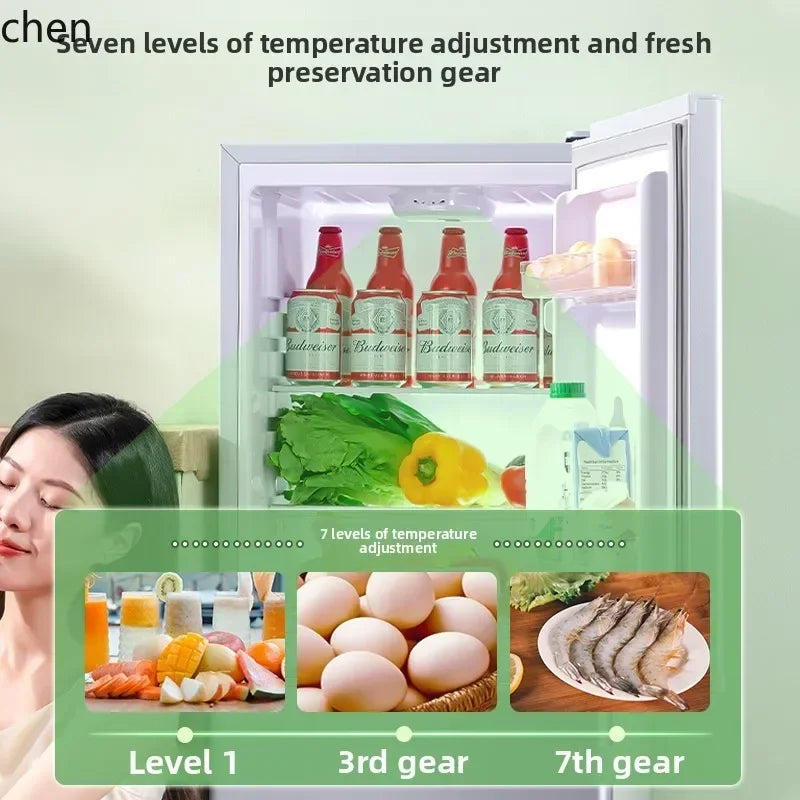 refrigerator small household double door single dormitory mini first-class energy efficiency and power saving