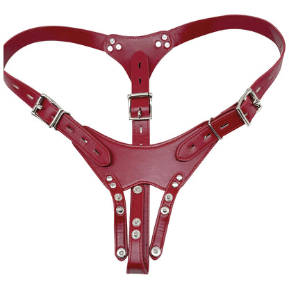 Secure Adjustable Male Chastity Harness Kit with Birdcage Cage - 5 Ring Sizes Black Penis Chastity Device for Long Term Wear, Co