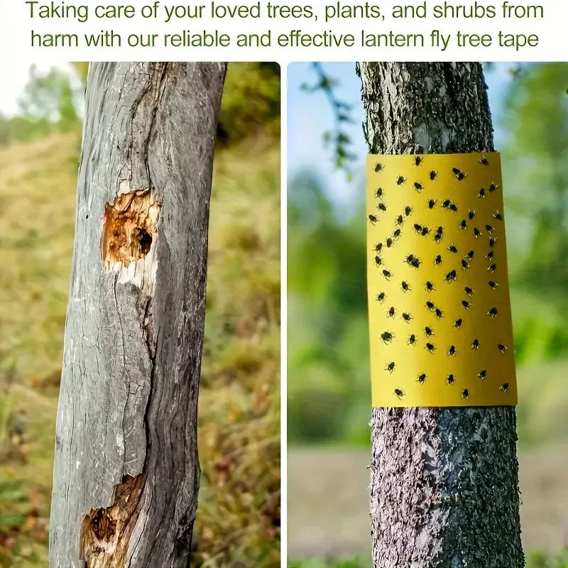 1 Roll Double-Sided Sticky Insect Barrier Tape Effective Against Outdoor Pest Control Self-Adhesive Suitable for Trees 2030