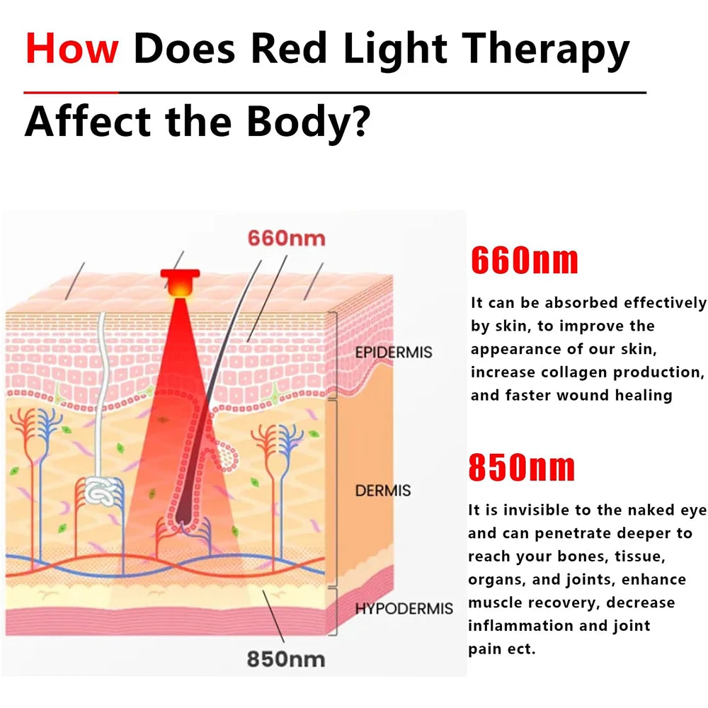 Pet Care Home Use Infrared Red Light Therapy Belt Wrap for Dogs Cats