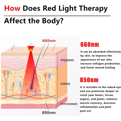 Pet Care Home Use Infrared Red Light Therapy Belt Wrap for Dogs Cats