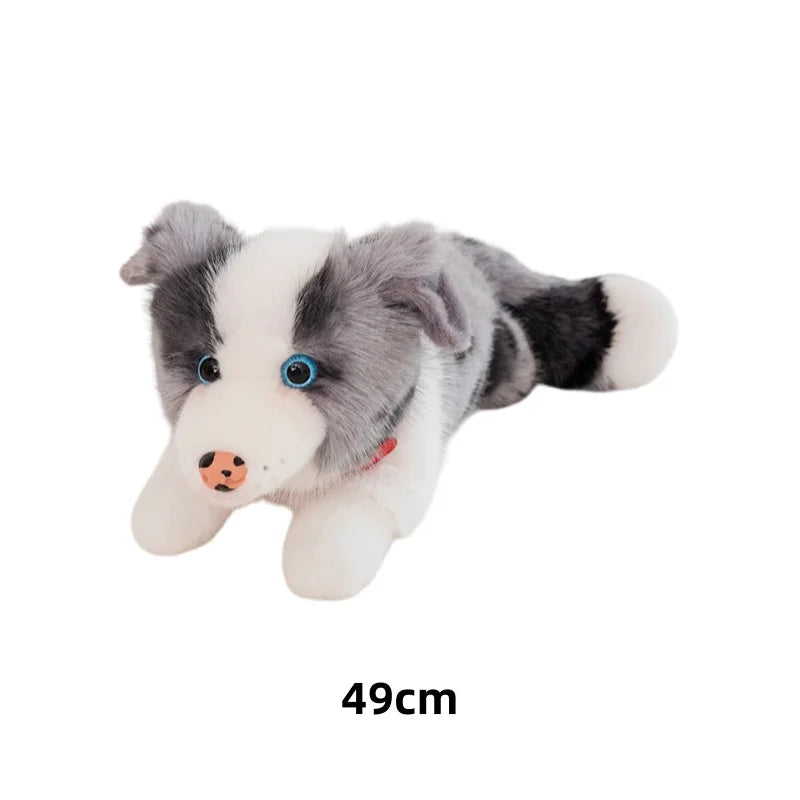 Border Collie Plush Toys Simulated Dog Stuffed Doll Exquisite Home Decor Toys Kawaii Accompany Toys Birthday Surprise Gifts