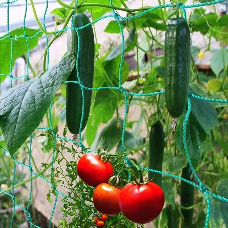 5/1PCS Garden Plant Climbing Net Plant Trellis for Tomato Fruit Vegetables Grapes Cucumber Net Morning Glory Flower Vine Netting