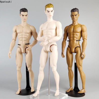 High Quality Adonis 1/6 Jointed DIY Movable Nude Naked Doll Body 12" Muscle FR Boy Doll BJD Dolls Kids Toys Gifts