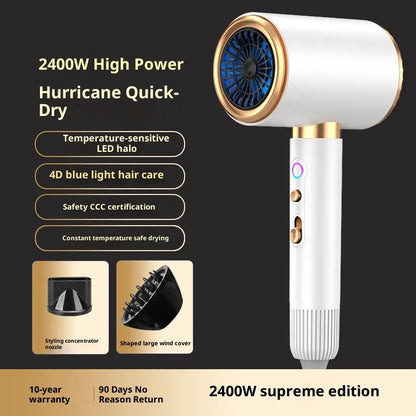 High-Speed Hair Dryer 2400W High-Speed Styling Dryer with Concentrator Diffuser Attachments for Home Use Hair Styling