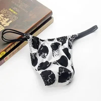 2pcs/lot Real silk low-waist men underwear personality trend men thong silk stretch briefs sexy double T pants