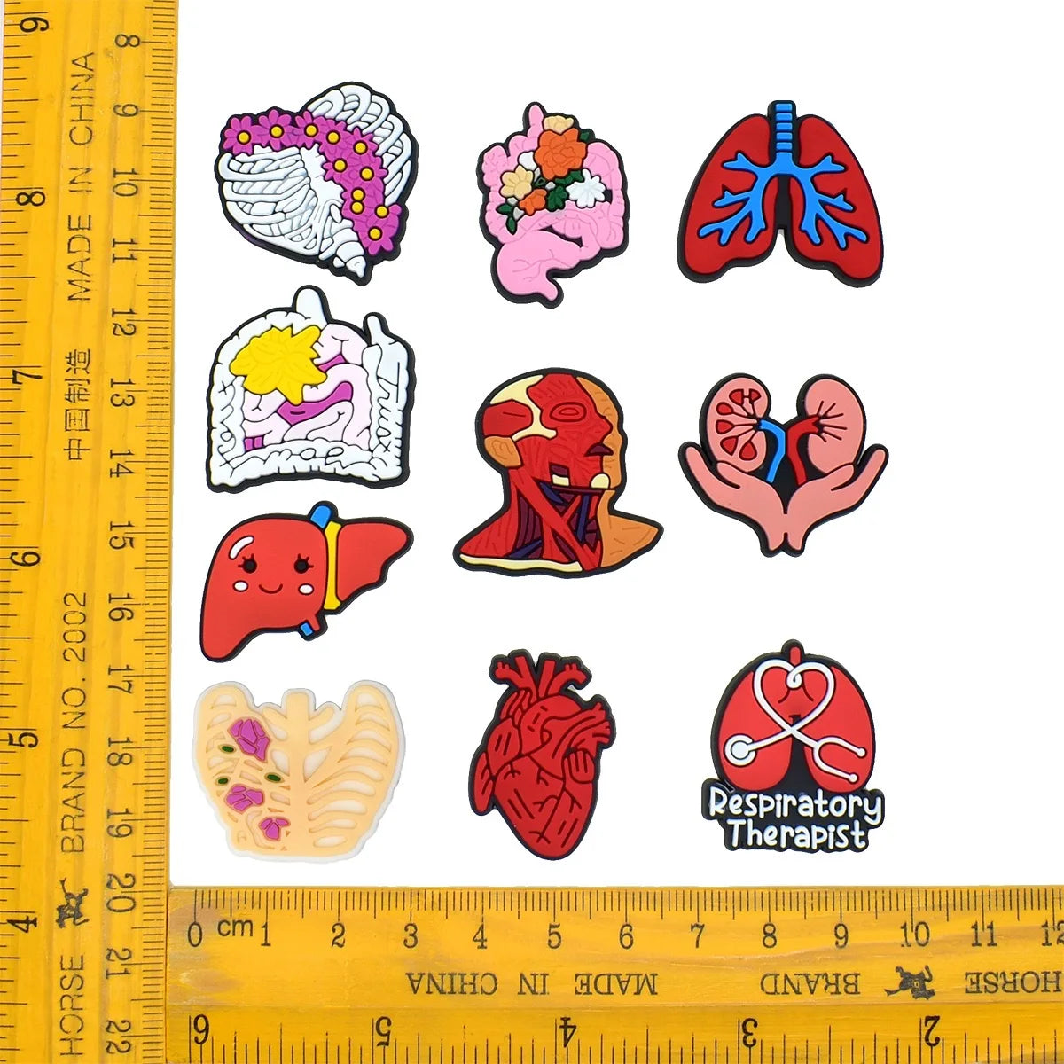 10Pcs Cartoon Human Organs Model Pvc Garden Shoe Decorations Buckle Button Clog DIY Wristbands Sandals Shoes Charms Kids Gift