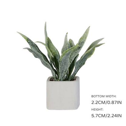 Aizulhomey Dollhouse Accessories Mini Plant Dollhouse Decoration Suitable for 1:6 Scale Dollhouse Neo Blythe