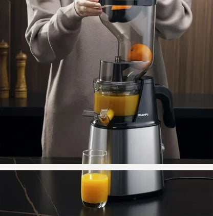 220V German Syrup Juicer Commercial High Capacity Juice Residue Separation Multifunctional Fried Fruit Stainless Steel AD
